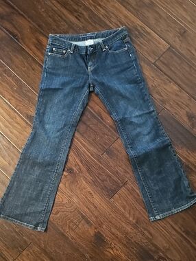 Banana Republic Indigo Flared Jeans - 4 Petite